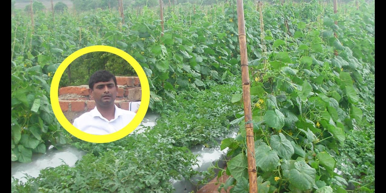 CAનું કામ છોડીને રાજીવ કમલે શરૂ કરી ખેતી, કમાય છે વાર્ષિક 50 લાખ!